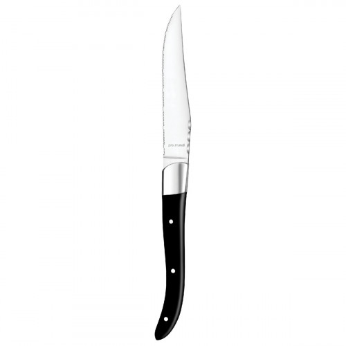Couteau à steak noir 25,5 cm Lupo Black Pro.mundi