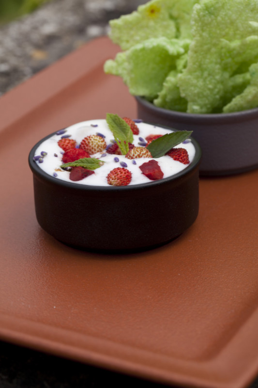 Assiette plate rectangulaire noir porcelaine vitrifiée 33,6x23,2 cm Neo Fusion Rak