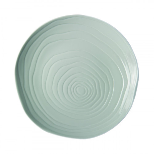Assiette coupe plate rond blanc porcelaine culinaire Ø 28 cm Teck Pillivuyt