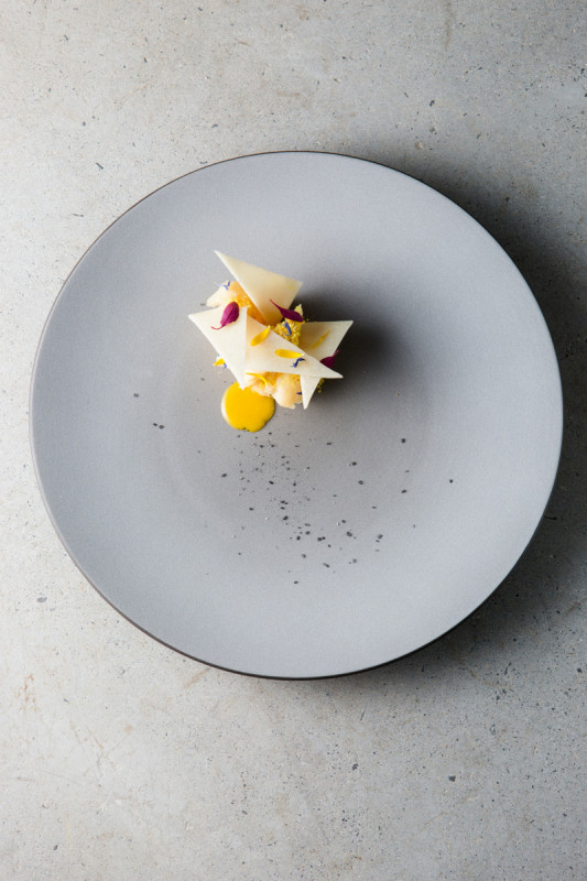 Assiette coupe plate rond gris porcelaine culinaire Ø 21,5 cm Equinoxe Revol