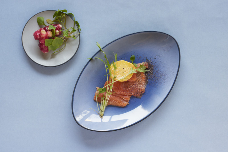 Assiette coupe plate rond gris porcelaine culinaire Ø 21,5 cm Equinoxe Revol
