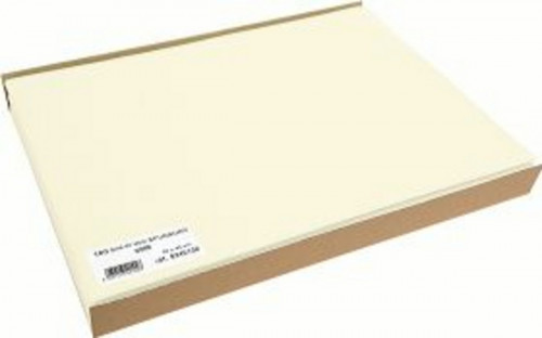 Set de table ivoire plastique 30x40 cm (100 pièces)