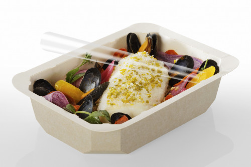 Barquette rectangulaire beige 19,2x13,7x2,7 cm 50 cl Barquettes Food Alphaform (65 pièces)