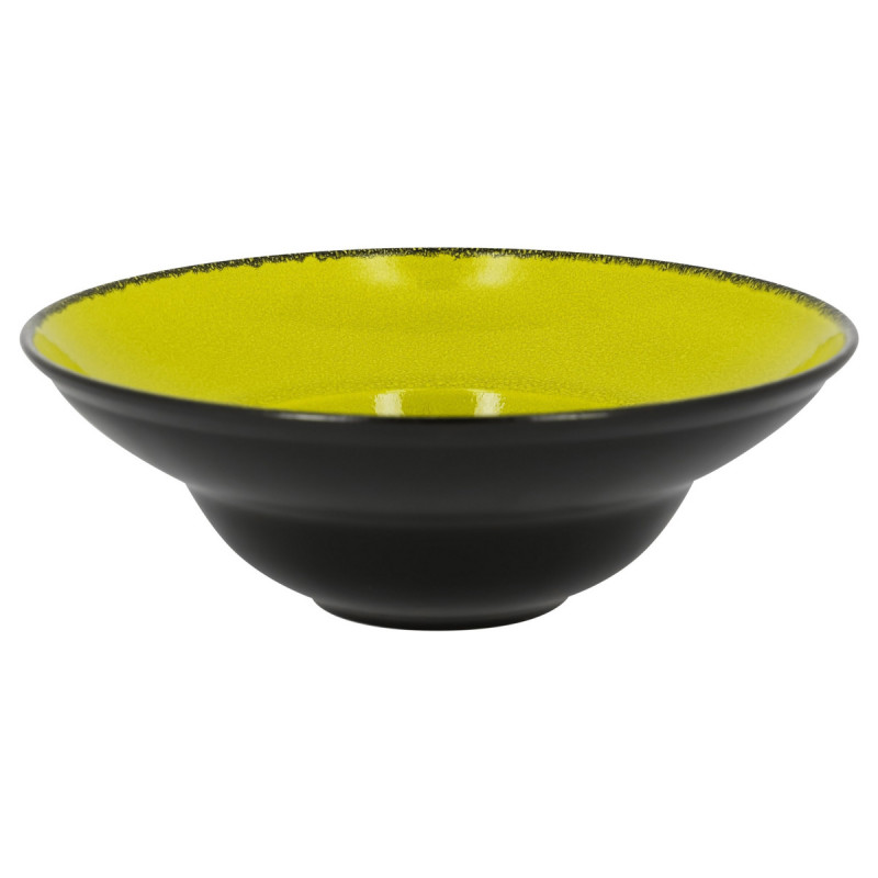 Assiette extra creuse rond vert porcelaine vitrifiée Ø 26,1 cm Fire Rak