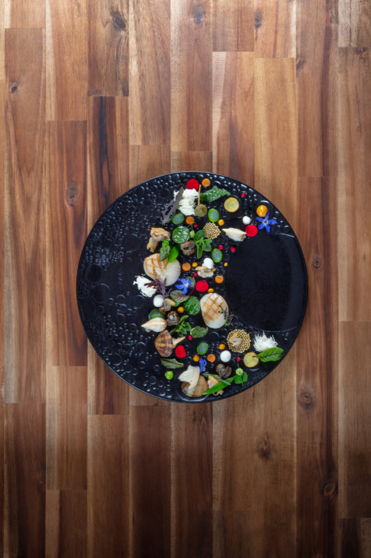 Assiette plate rond noir porcelaine vitrifiée Ø 29,9 cm Create Rak