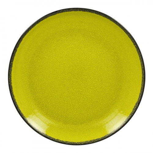 Assiette plate rond vert porcelaine vitrifiée Ø 24 cm Fire Rak