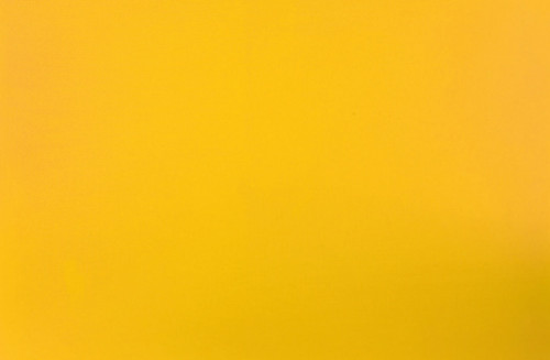 Planche à découper polyéthylène haute densité (pehd) jaune 53x32,5x2 cm GN 1/1 Sans rigole Réversible Pro.cooker