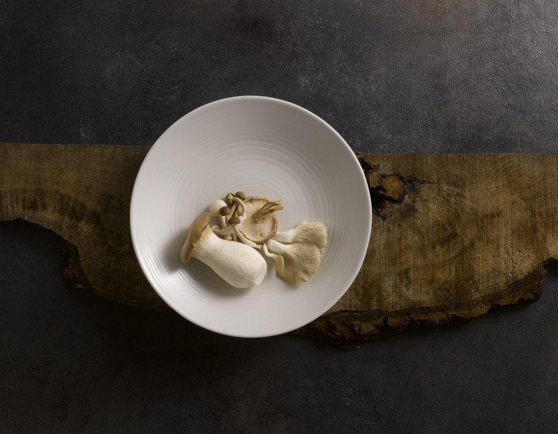 Assiette plate rectangulaire blanc porcelaine 36x17,1 cm Evo Pearl Dudson