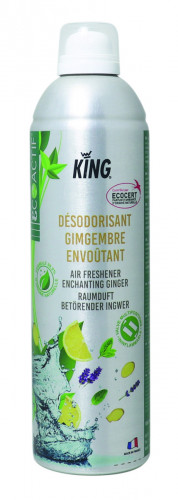 Désodorisant gingembre envoutant 400 ml