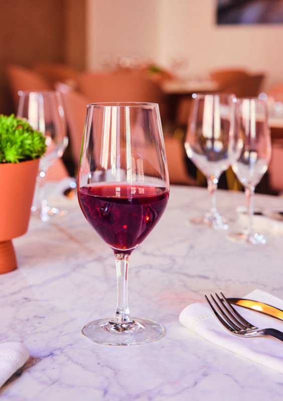Verre à pied verre cristallin 45 cl Evidence Chef & Sommelier