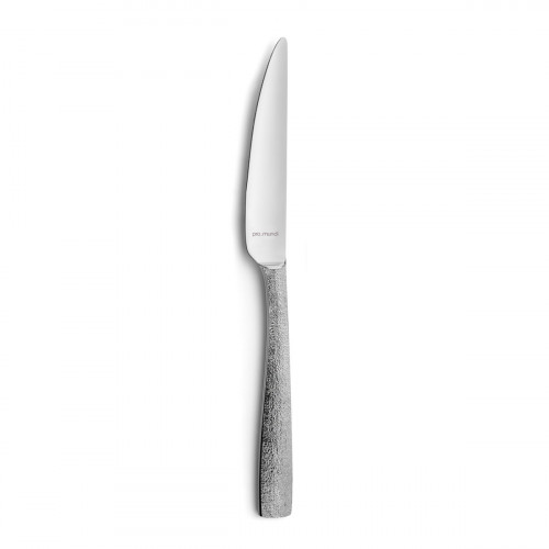 Couteau à dessert 19,8 cm Odyssee Ice Pro.mundi