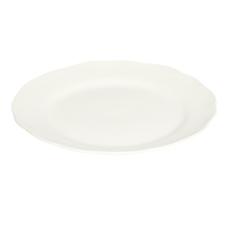 Assiette coupe plate rond blanc porcelaine Ø 24,2 cm Sérafine Pro.mundi